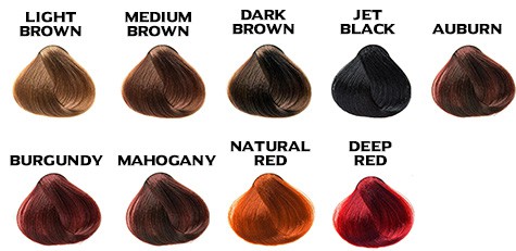 Henna Guys Beard Dye Color Options