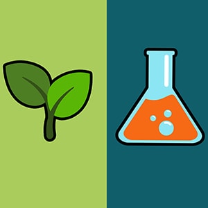 Quality of ingredients (chemical vs natural)