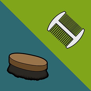 Beard Brush or Beard Comb for grooming kit?