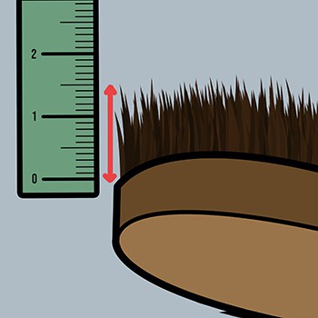 Beard Brush Bristle Length