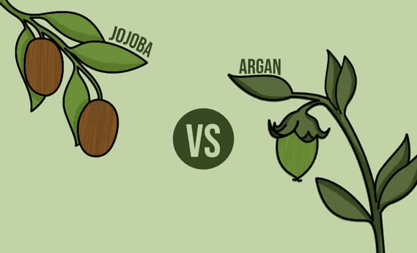 7 Best Beard Oils of 2022 (Ultimate Buyer's Guide)