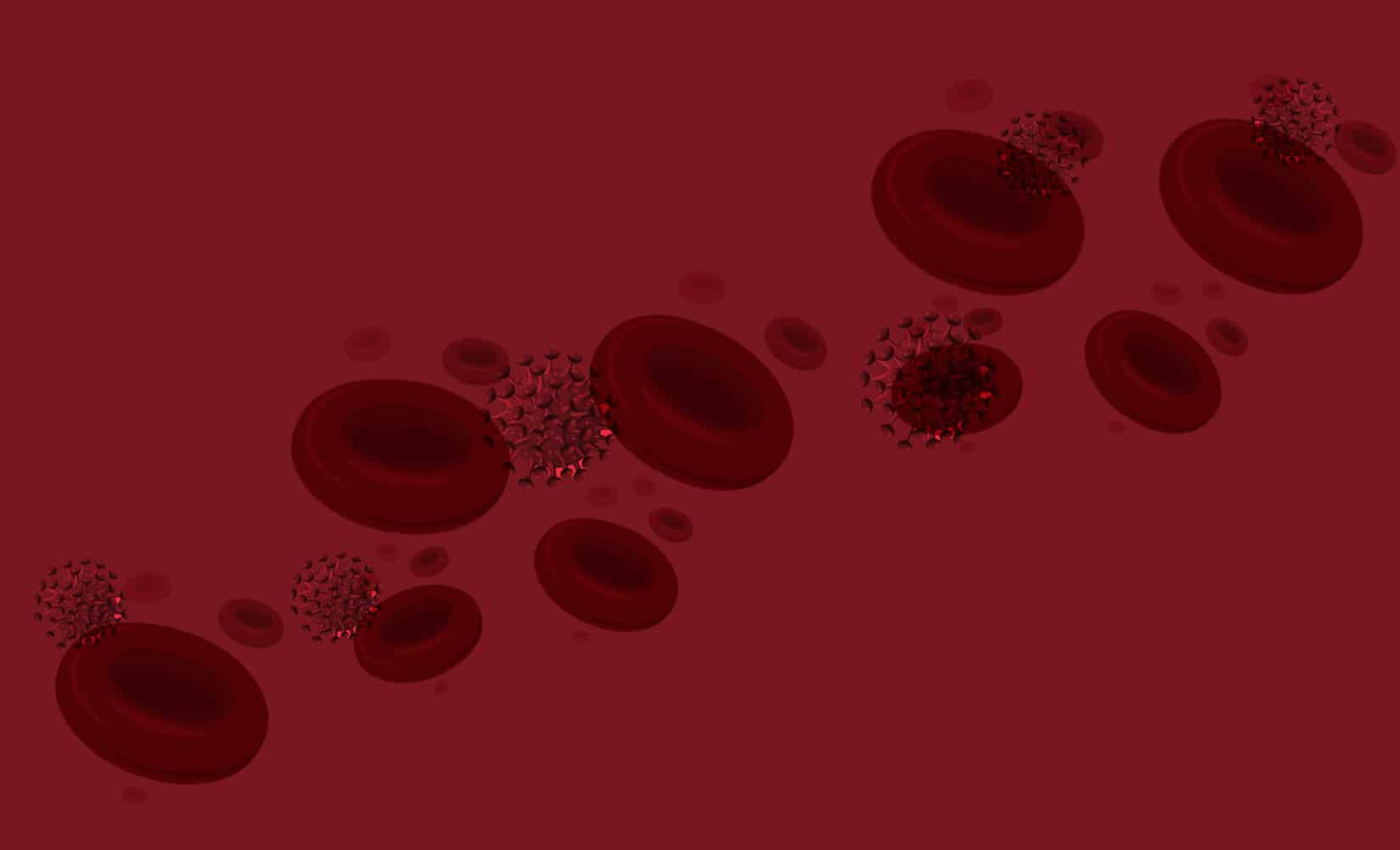 Deodorant Vs Antiperspirant The Best in 2024