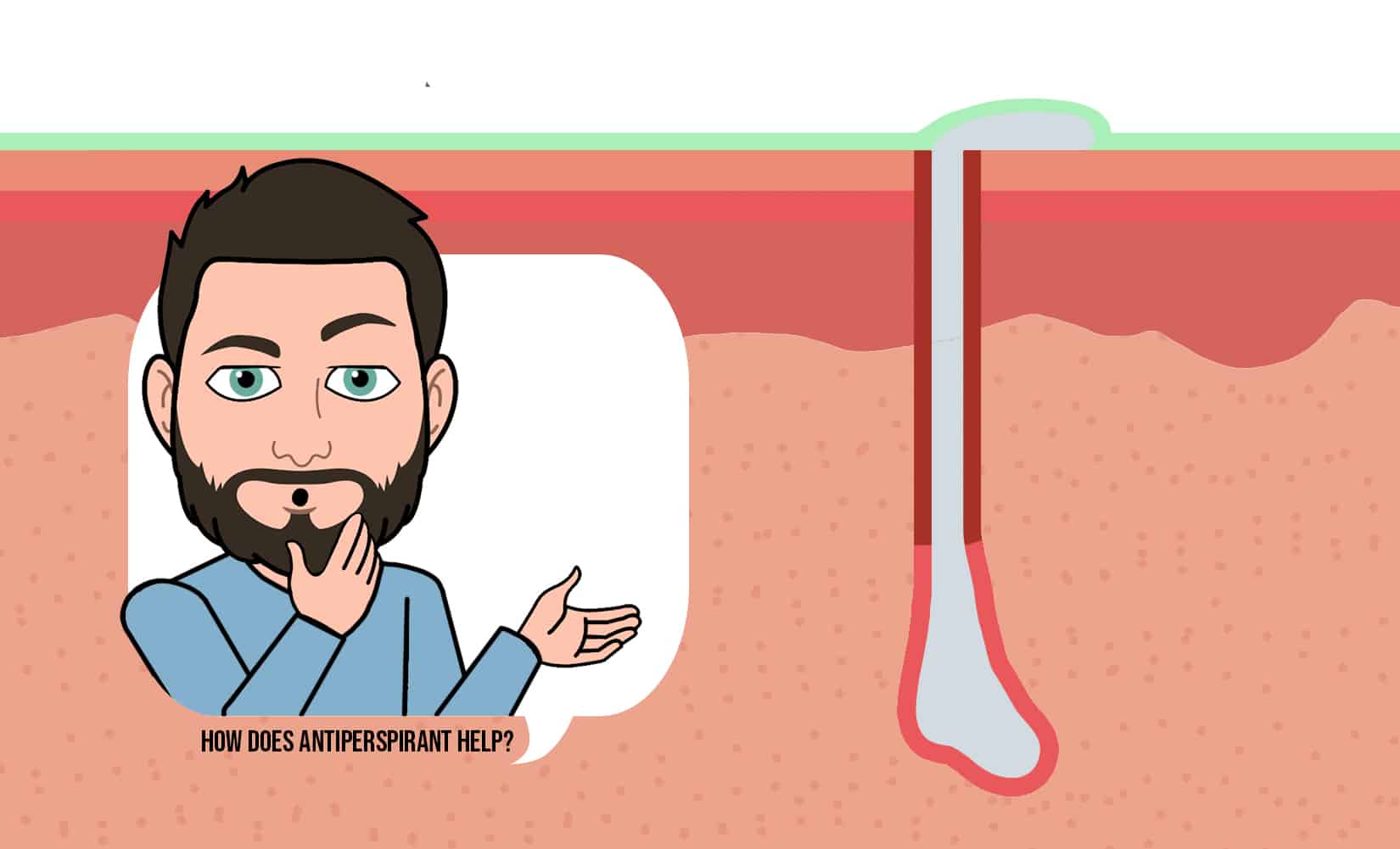 Deodorant Vs Antiperspirant The Best in 2024