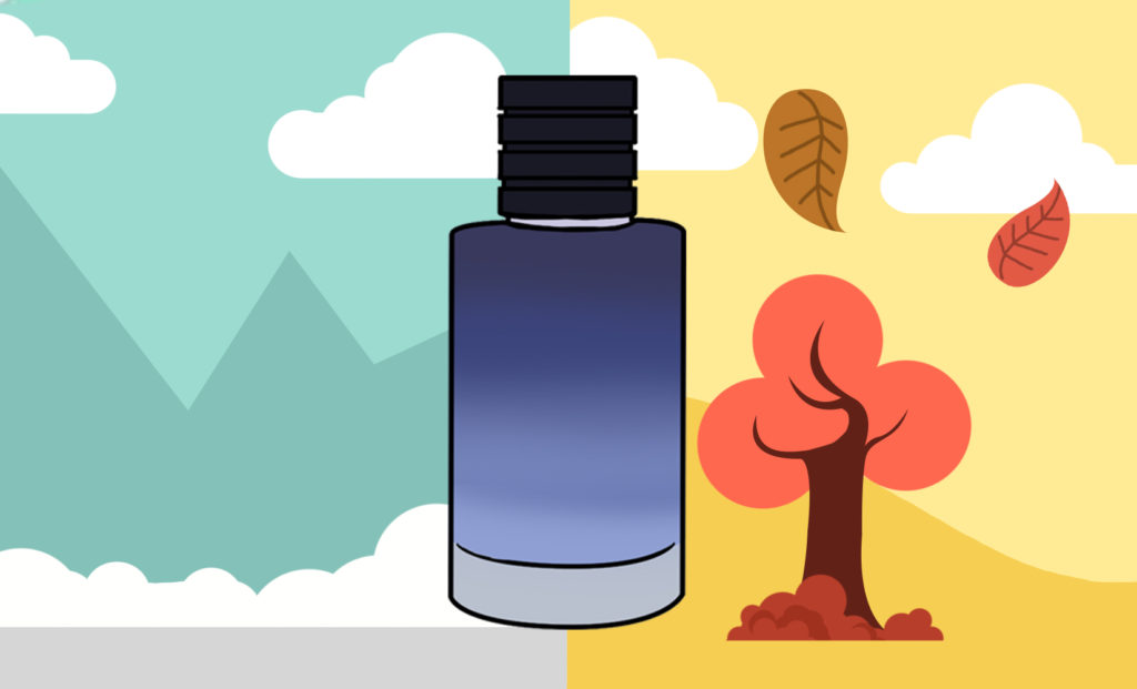 Women's Favorite Men's Cologne Ultimate Guide