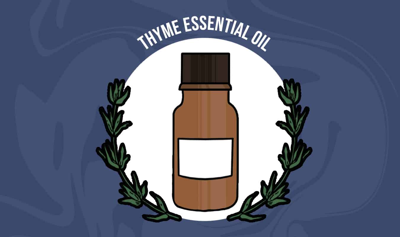 8 Best Essential Oils for Thick Hair Growth 2022