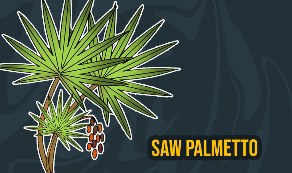 8 Best Natural DHT Blockers in 2022 (Stop Hair Loss)