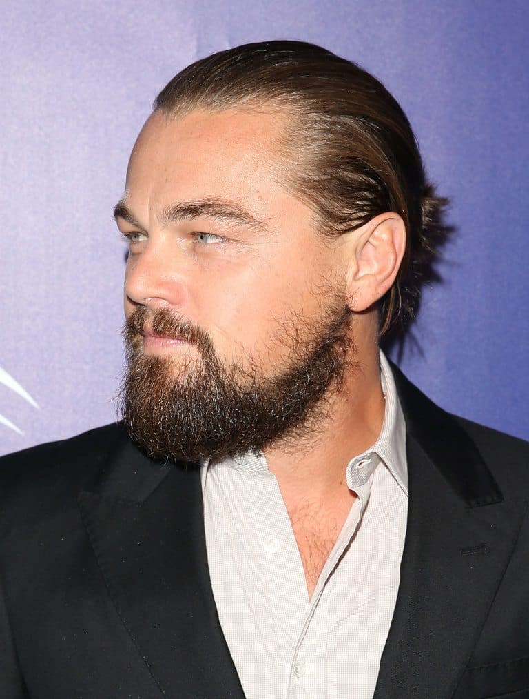 the hollywoodian beard